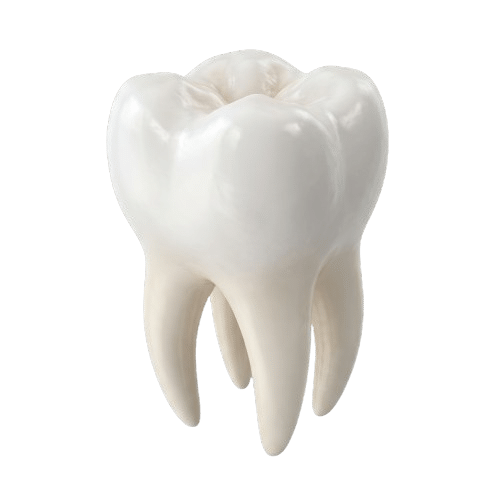 Muela 3D - clínica dental DentoSmile